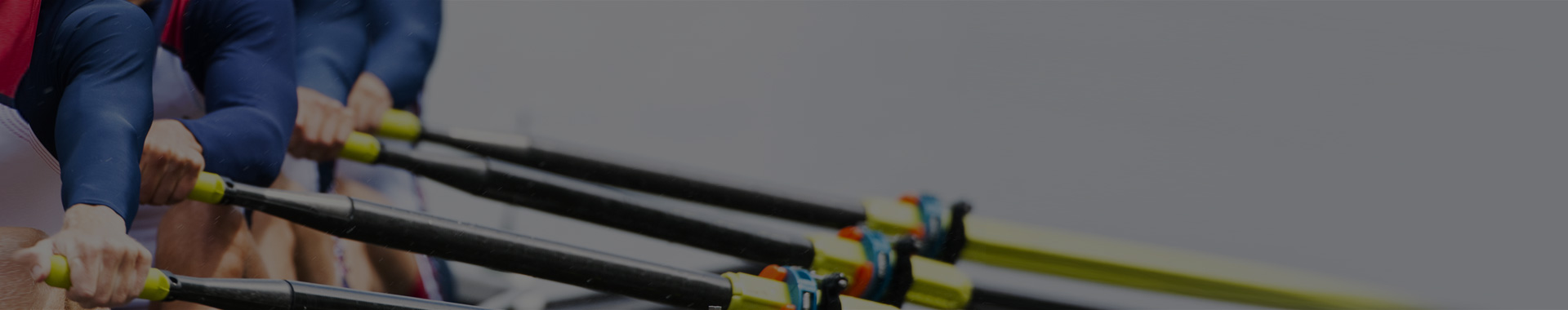 ALM and Devops consultancy ALM and Devops consulting services