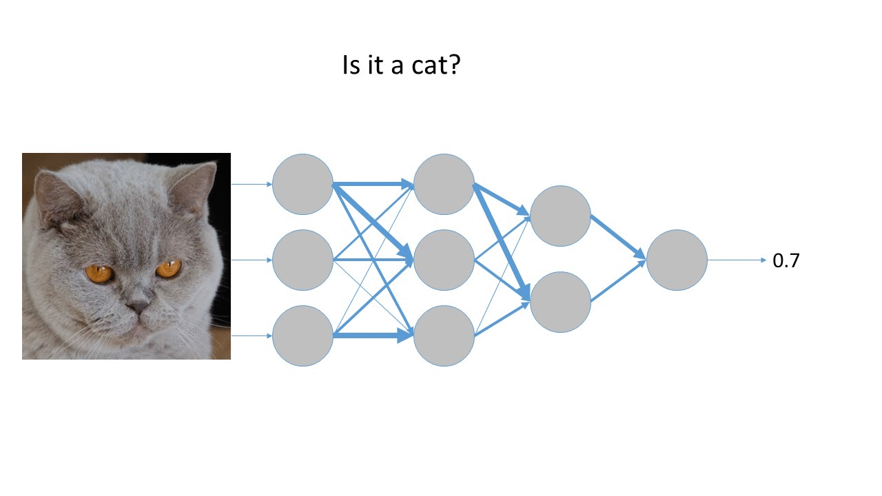 Artificial Neural Networks What they are and how they’re trained