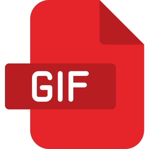 Formats supported by Xerpa such as MP4, DOC, PDF, XLS, EXE, CDR, TXT, HTML, DB, PPT